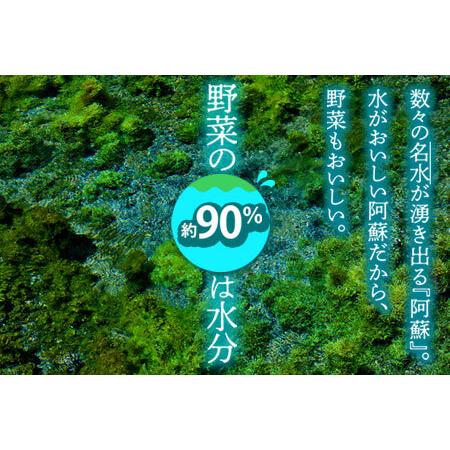 ふるさと納税 ＜畑から直送＞季節のお野菜セット 熊本県阿蘇市｜furunavi｜02