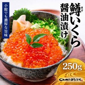 ふるさと納税 いくら 250g 化粧箱入り 愛名古屋 愛知県名古屋市 醤油漬け 鱒の卵 激安ブランド 醤油漬け