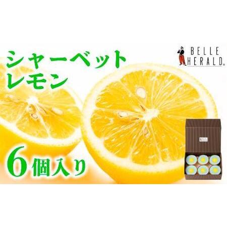 ふるさと納税 レモンのシャーベット 最大92％オフ 25％OFF 愛知県名古屋市 ６個入