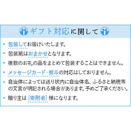 ふるさと納税 【ギフト用】【本漆塗り】漆ピアス(メタリックブルー)9ミリ玉／イヤリング可　023-027-B-GFT 福岡県八女市_4
