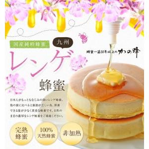 ふるさと納税 【ギフト用】かの蜂 国産 蜂蜜 ギフト 500g×3本セット（レンゲ 百花 みかん） 国産 蜂蜜 はちみつ ハチミツ 詰合せ ギフト 贈.. 福岡県八女市の画像