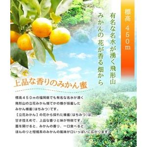 ふるさと納税 【ギフト用】かの蜂 国産 蜂蜜 ギフト 500g×3本セット（レンゲ 百花 みかん） 国産 蜂蜜 はちみつ ハチミツ 詰合せ ギフト 贈.. 福岡県八女市の画像
