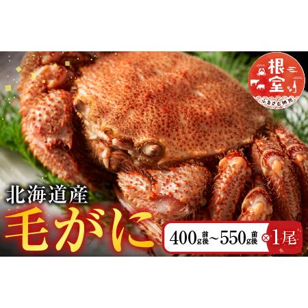 品多く 北海道根室市 カニ エビ 北海道根室市 B 北海道根室産 毛かに400 550g前後 1尾 ふるさと納税 魚介類 海産物 Www Construction Gouv Cg