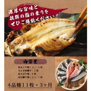 ふるさと納税 【小木曽商店】　干物詰合せ【Bセット】　定期便　３ヶ月　３回 静岡県下田市｜furunavi｜05