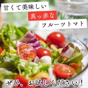 ふるさと納税 トマト フルーツトマト 1kg 高糖度〈2026年12月より順次発送〉 kr-0083 高知県香南市_3