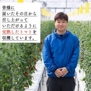 ふるさと納税 トマト フルーツトマト 1kg 高糖度〈2026年12月より順次発送〉 kr-0083 高知県香南市_4