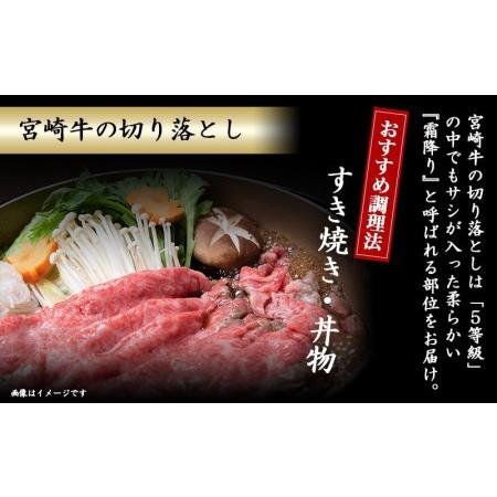 ふるさと納税 調理法無限大!宮崎牛霜降り(A5)&豚スライス定期便(2ヶ月)_T30（2）-0103_(都城市) 宮崎牛 霜降り切り落とし ローススライス バ.. 宮崎県都城市｜furunavi｜02