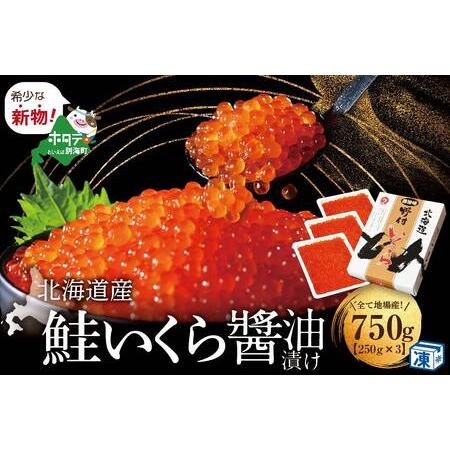 ふるさと納税 いくら醤油漬け 750g! ( いくら イクラ 鮭卵 醤油漬け 北海道 野付 人気 ふるさと納税 ) 北海道別海町