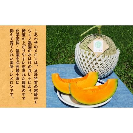 メロン タイヤ２本 ふるさと納税 ＜2026年発送＞ふらの産 しあわせのメロン キング
