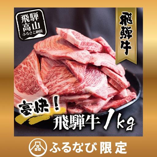 ふるさと納税 【ふるなび限定】飛騨牛 訳あり 焼肉1kg 切りおとし | 牛肉 訳あり 丸明 LR008-CP02 FN-Limited-PR 岐阜県高山市 | 