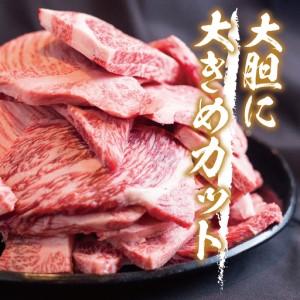 ふるさと納税 【ふるなび限定】飛騨牛 訳あり 焼肉1kg 切りおとし | 牛肉 訳あり 丸明 LR008-CP02 FN-Limited-PR 岐阜県高山市 |  | 01