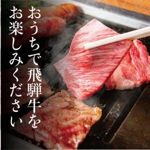 ふるさと納税 【ふるなび限定】飛騨牛 訳あり 焼肉1kg 切りおとし | 牛肉 訳あり 丸明 LR008-CP02 FN-Limited-PR 岐阜県高山市 |  | 02