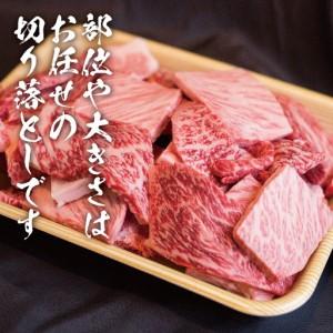 ふるさと納税 【ふるなび限定】飛騨牛 訳あり 焼肉1kg 切りおとし | 牛肉 訳あり 丸明 LR008-CP02 FN-Limited-PR 岐阜県高山市 |  | 03