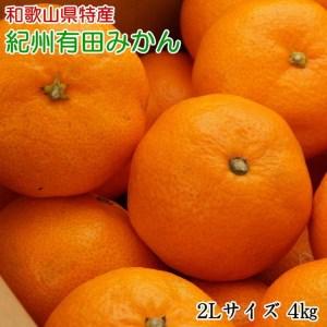 ふるさと納税 [秀品]和歌山有田みかん4kg(2Lサイズ) ｜ ふるさと納税 ミカン 和歌山県美浜町 | 