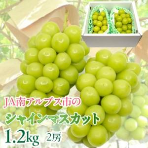 ふるさと納税 【2025年発送 先行予約】絶品！南アルプス市産シャイン 