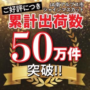 ふるさと納税 ★TBSテレビ系列「ひるおび」で取り上げられました！★＜2026年発送先行予約＞絶品！南アルプス市産シャインマスカット1.2kg.. 山梨県南アルプス市_1