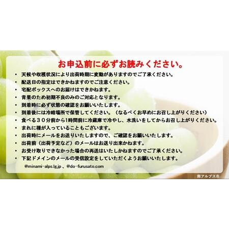 ふるさと納税 5-1 【令和6年9月上旬から10月中旬発送予定】絶品！南アルプス市産シャインマスカット1.2kg 山梨県南アルプス市｜furunavi｜03