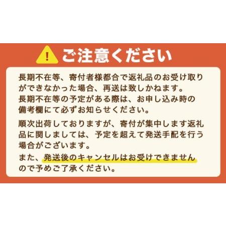 ふるさと納税 TY035 無洗米 我が家のお米 12kg ブレンド米 1等米含む お米 米 精米 ご家庭用 福岡県宇美町|furunavi|04