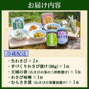 ふるさと納税 とれたて わさび セット 滝 生産者直送 生わさび 2本 手作り わさび漬け 天城の春 三杯酢漬け わさびみそ むらさき漬 醤油漬け 伊.. 静岡県河津町_4