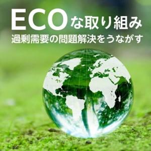 ふるさと納税 【チャリティー募金】羽毛布団 掛け ダウン70％ 150×210cm（シングル） ブラウン  リユース羽毛  山梨県都留市の画像