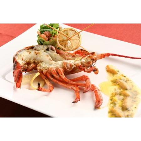 ふるさと納税 【麻布十番】ブルガズ アダ ディナーコース 4名様（1年間有効） お店でふるなび美食体験 FN-Gourmet460432 佐賀県唐津市     商品情報     容量　【麻布十番】ブルガズ アダ ディナーコース 4名様（1年間有効） お店でふるなび美食体験 FN-Gourmet4604