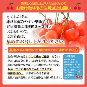 ふるさと納税 【定期便5回】山形果実の食べきり[乙女の定期便A] 【令和6年産先行予約】FU22-771 山形県山形市｜furunavi｜03