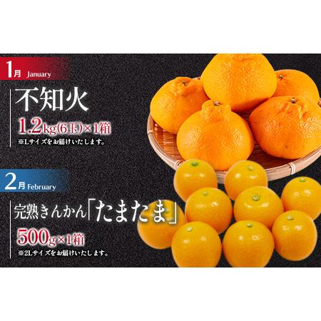 ふるさと納税 FI1-22 年末年始限定≪4か月お楽しみ定期便≫旬の柑橘セット(総重量3.9kg以上) フルーツ 果物 みかん 金柑 国産 宮崎県日南市|furunavi|02