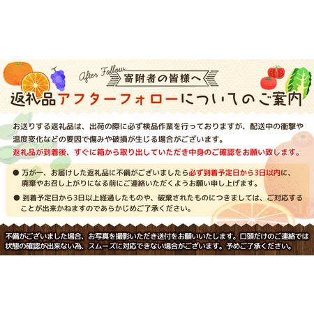 ふるさと納税 果物 くだもの フルーツ 蜜柑 みかん / 【手選果・訳あり】有田産の八朔10kg（サイズ混合）＜2025年1月下旬〜2月下旬頃に順次発.. 和歌山県新宮市｜furunavi｜04