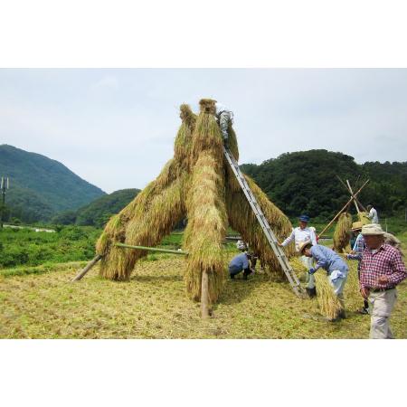 ふるさと納税 若林酒造「開春」日本酒 生もと6種飲み比べセット（1.8L×6本） 島根県大田市の画像