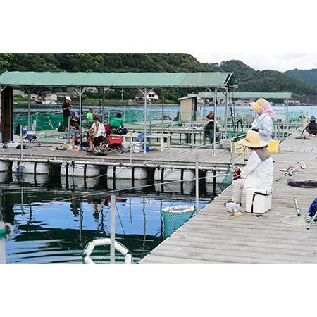 楽天ランキング1位 ふるさと納税 A19 海上釣り掘 貞丸 利用券 割引券 三重県紀北町 代引不可 Www Aqtsolutions Com