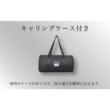 ふるさと納税 ＼期間限定！生活応援セット／エアウィーヴ ポータブル