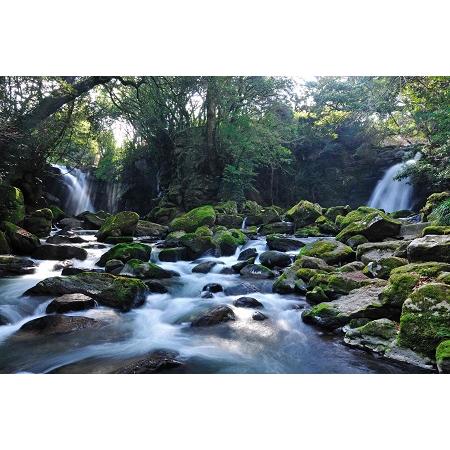 ふるさと納税 【3ヶ月定期便】 阿蘇の満願水　2L×12本 熊本県南小国町 CE1415339780(14040円)