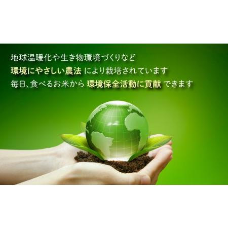 ふるさと納税 【令和5年産】こしひかり（福井県大野市産）福井県特別栽培米 3kg【白米】 [A-003003] 福井県大野市｜furunavi｜02