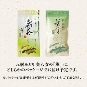 ふるさと納税 【八女の日】古賀製茶本舗 奥八女の「薫」八媛みどり 新茶100g×3袋【2026年5月以降発送】煎茶 お茶 八女茶 新茶 高級 福岡県 .. 福岡県八女市_2