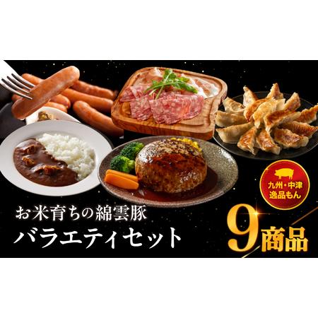 ふるさと納税 お米育ちの錦雲豚バラエティギフト ハム ソーセージ・ベーコン・生ハム・餃子・ハンバーグ・カレーの人気 詰め合わせセット 大分県中津市