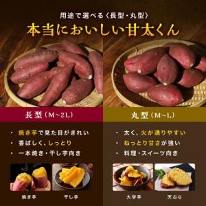 ふるさと納税 大分県産かんしょ さつまいも 甘太くん 約 5kg 《br0003》 大分県中津市の画像