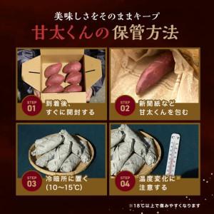 ふるさと納税 大分県産かんしょ さつまいも 甘太くん 約 5kg 《br0003》 大分県中津市の画像