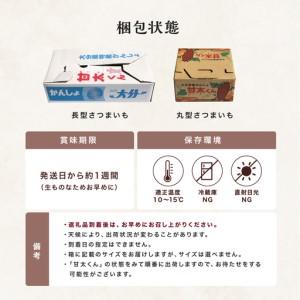 ふるさと納税 大分県産かんしょ さつまいも 甘太くん 約 5kg 《br0003》 大分県中津市の画像