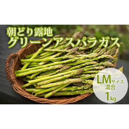 ふるさと納税 北海道 富良野市産 アスパラ 緑 (LMサイズ混合) 約1kg 朝どり 露地 グリーン アスパラガス 詰め合わせ 野菜 新鮮 数量限定 先着.. 北海道富良野市