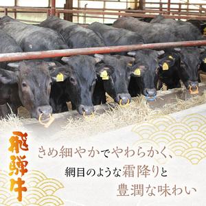 ふるさと納税 飛騨牛 岐阜県海津市産 すき焼き 切り落とし 500g 牛肉 岐阜県海津市｜furunavi｜02