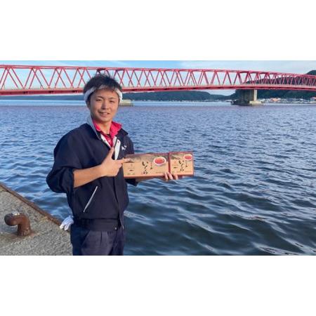 ふるさと納税 北海道産 いくら 醤油漬け 200g 魚貝類 魚卵 いくら醤油漬け イクラ  北海道厚岸町の画像