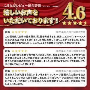 ふるさと納税 【2026年8〜9月発送】 梨(豊水) 約5kg 梨 072-004 福岡県八女市_2