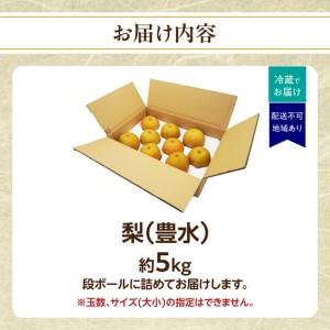 ふるさと納税 【2026年8〜9月発送】 梨(豊水) 約5kg 梨 072-004 福岡県八女市_4