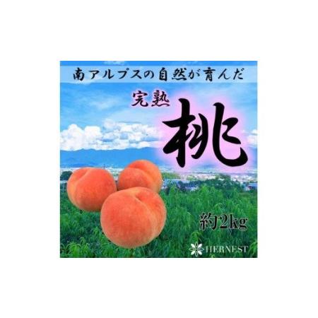ふるさと納税 [2026年発送先行予約]山梨県南アルプス市産 高糖度 桃 [約2kg 5〜8玉] ALPAH021 | 山梨県産もも 桃 高糖度桃 高評価も.. 山梨県南アルプス市