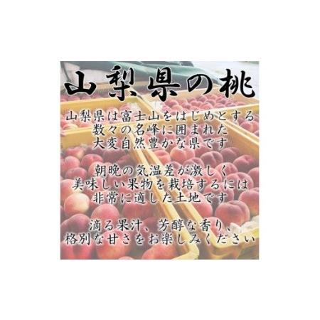 ふるさと納税 ＜2026年発送先行予約＞山梨県南アルプス市産 高糖度 桃 【約2ｋｇ 5〜8玉】 ALPAH021 | 山梨県産もも 桃 高糖度桃 高評価も.. 山梨県南アルプス市の画像