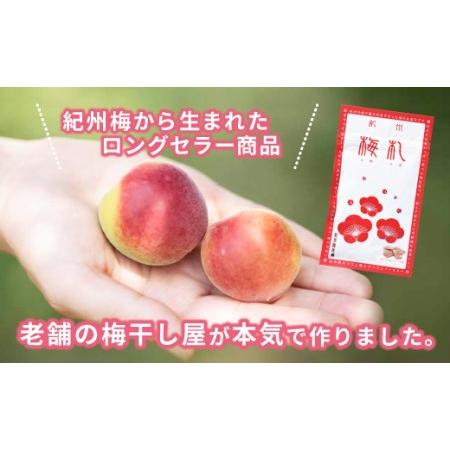 ふるさと納税 紀州梅札 14g×30袋 梅づくり100年「紀州ほそ川」の梅お菓子A-225 和歌山県みなべ町｜furunavi｜03