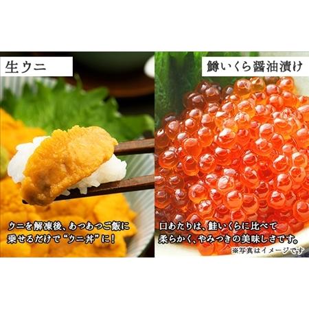 ふるさと納税 1260.訳あり うに 鱒 いくら 醤油漬け ウニ100g マスいくら 100g 雲丹 不揃い うに わけ あり 海鮮 丼 海鮮丼 刺身 うに丼 いく.. 北海道弟子屈町|furunavi|04