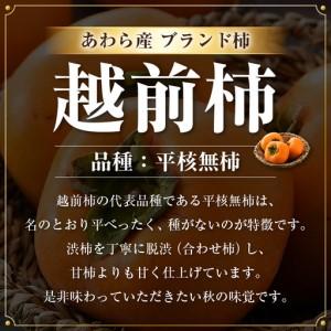 ふるさと納税 【先行予約】 越前柿 24個入 約4kg（M〜2L）≪JA受賞歴親子２代≫ ／ 果物 フルーツ 柿 産地直送 期間限定 あわら ※2026年11月.. 福井県あわら市_1