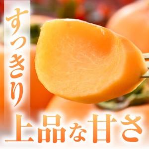 ふるさと納税 【先行予約】 越前柿 24個入 約4kg（M〜2L）≪JA受賞歴親子２代≫ ／ 果物 フルーツ 柿 産地直送 期間限定 あわら ※2026年11月.. 福井県あわら市_2