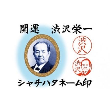 ふるさと納税　開運　渋沢栄一　シャチハタネーム印　埼玉県深谷市